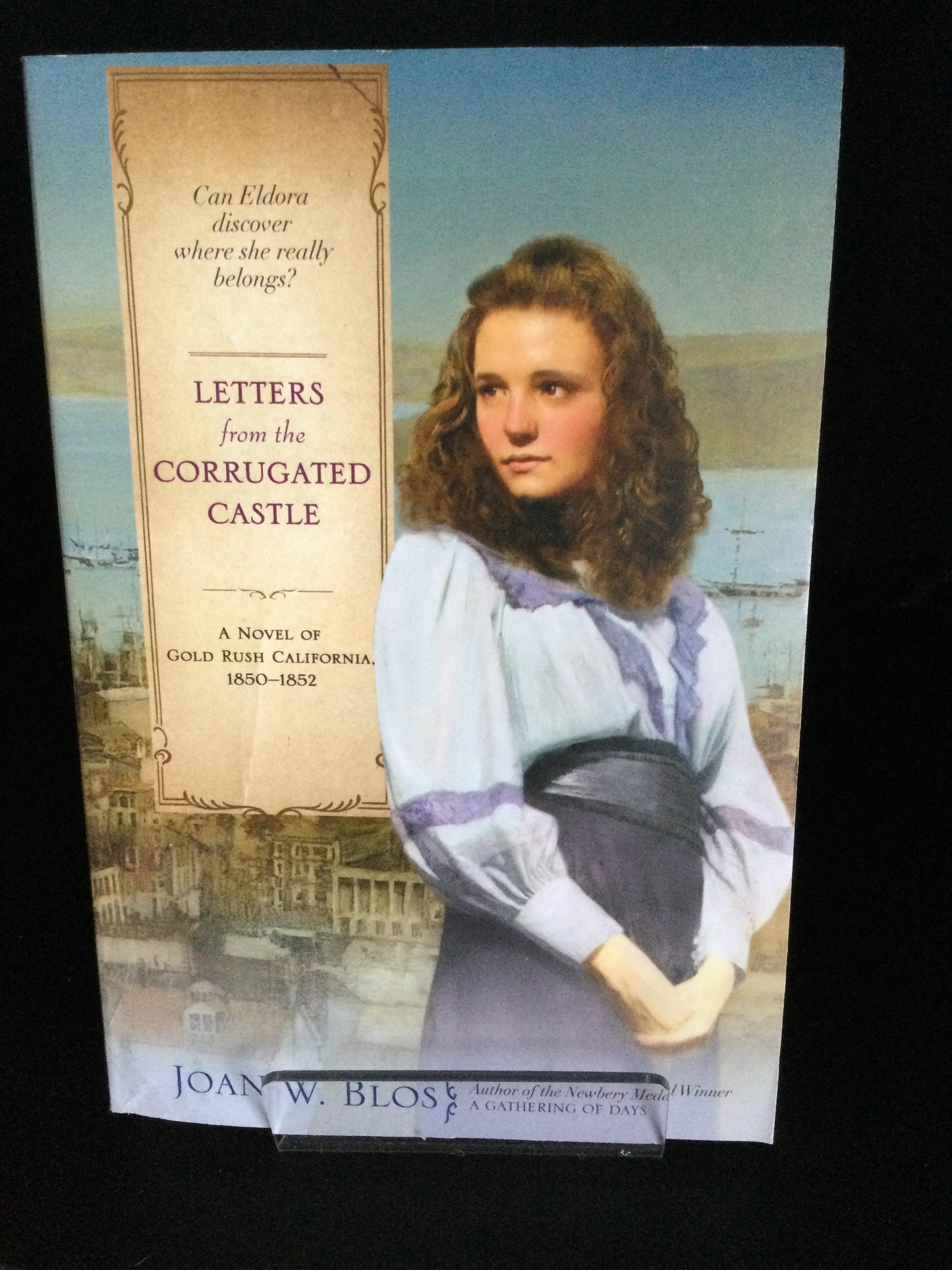 Letters from the Corrugated Castle by Joan W Blos